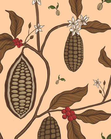 Coffee Chocolate Reimagined