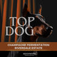 Top Dog- Champagne Fermentation