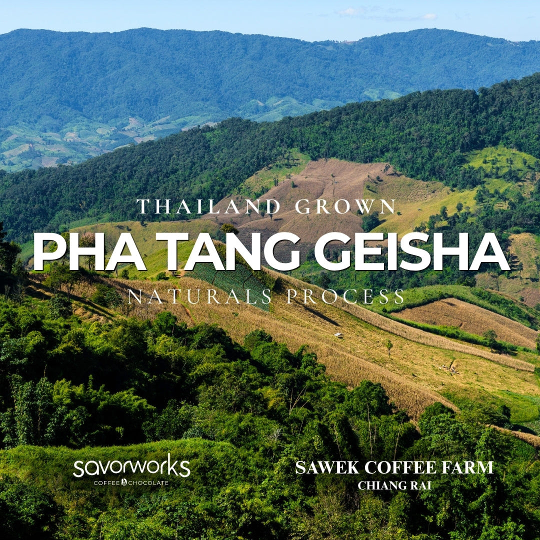Pha Tang Geisha - Thailand Grown Alishan Geisha