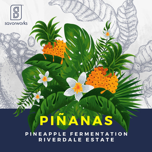 Pinanas - Pineapple Fermentation